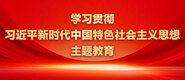 操美女逼视频在线学习贯彻习近平新时代中国特色社会主义思想主题教育_fororder_ad-371X160(2)